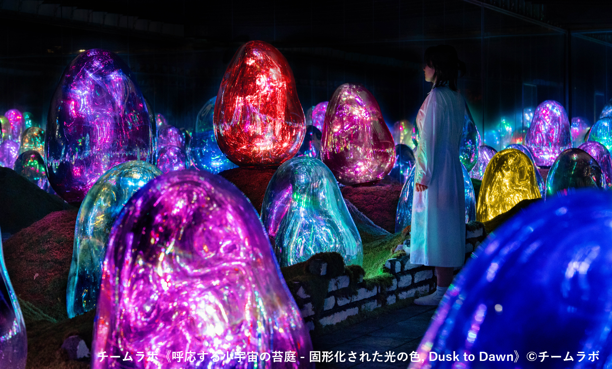 teamLab Planets TOKYO DMM.com